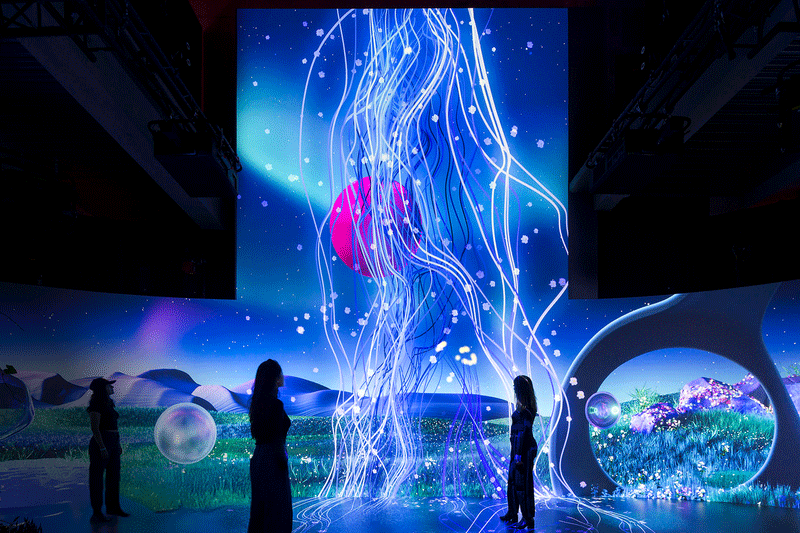 Magenta Moon Garden - Immersive Installation.