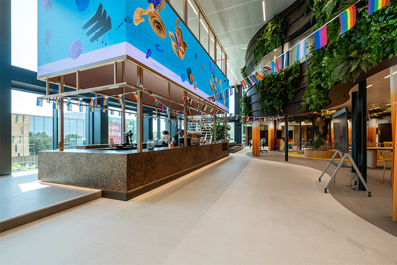 Miro Discovery Center.