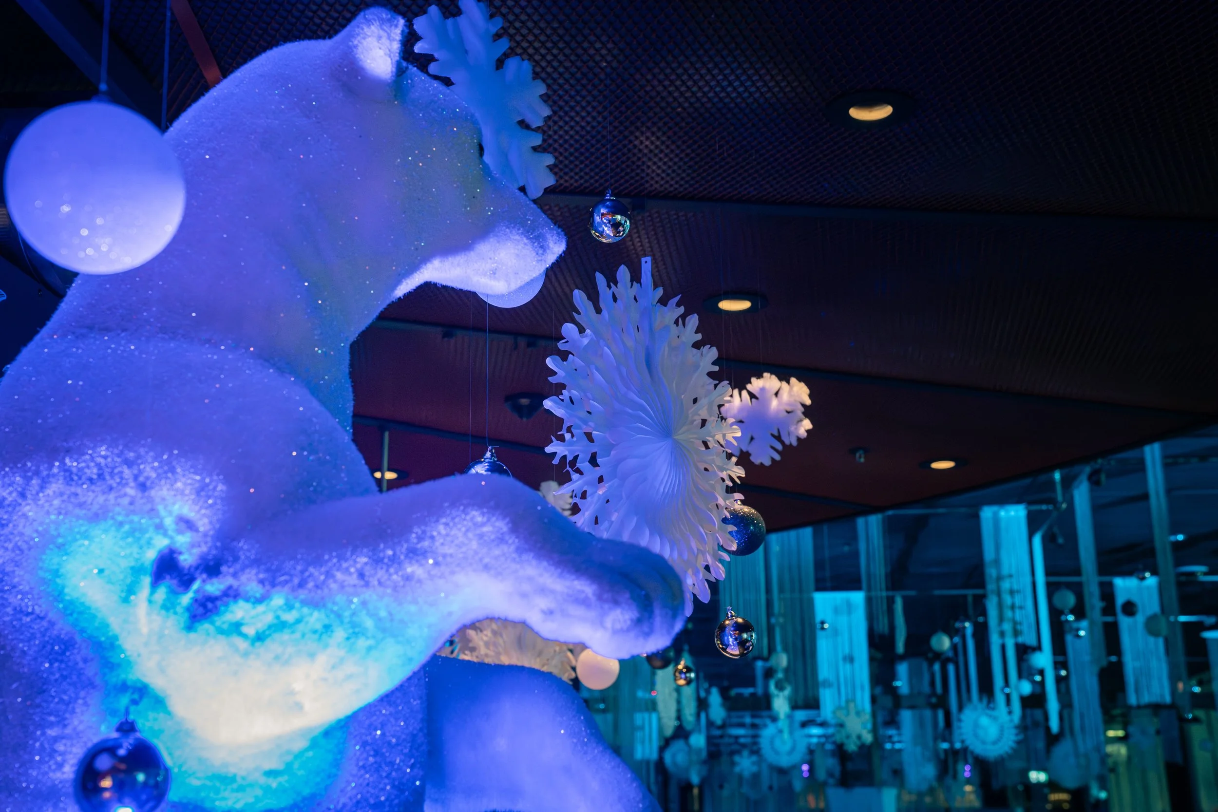 20251122_AirBrau_FrozenWonders-29.jpg