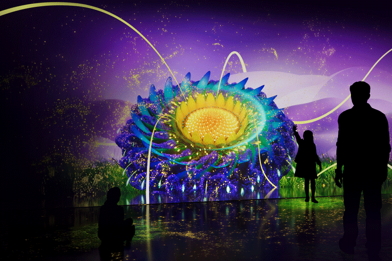 Utopian Garden: Story-Based Immersive & Interactive Show.
