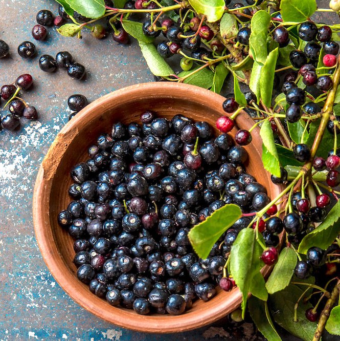 AdobeStock_186920021-Maqui-Berry-051819-cropped.jpg