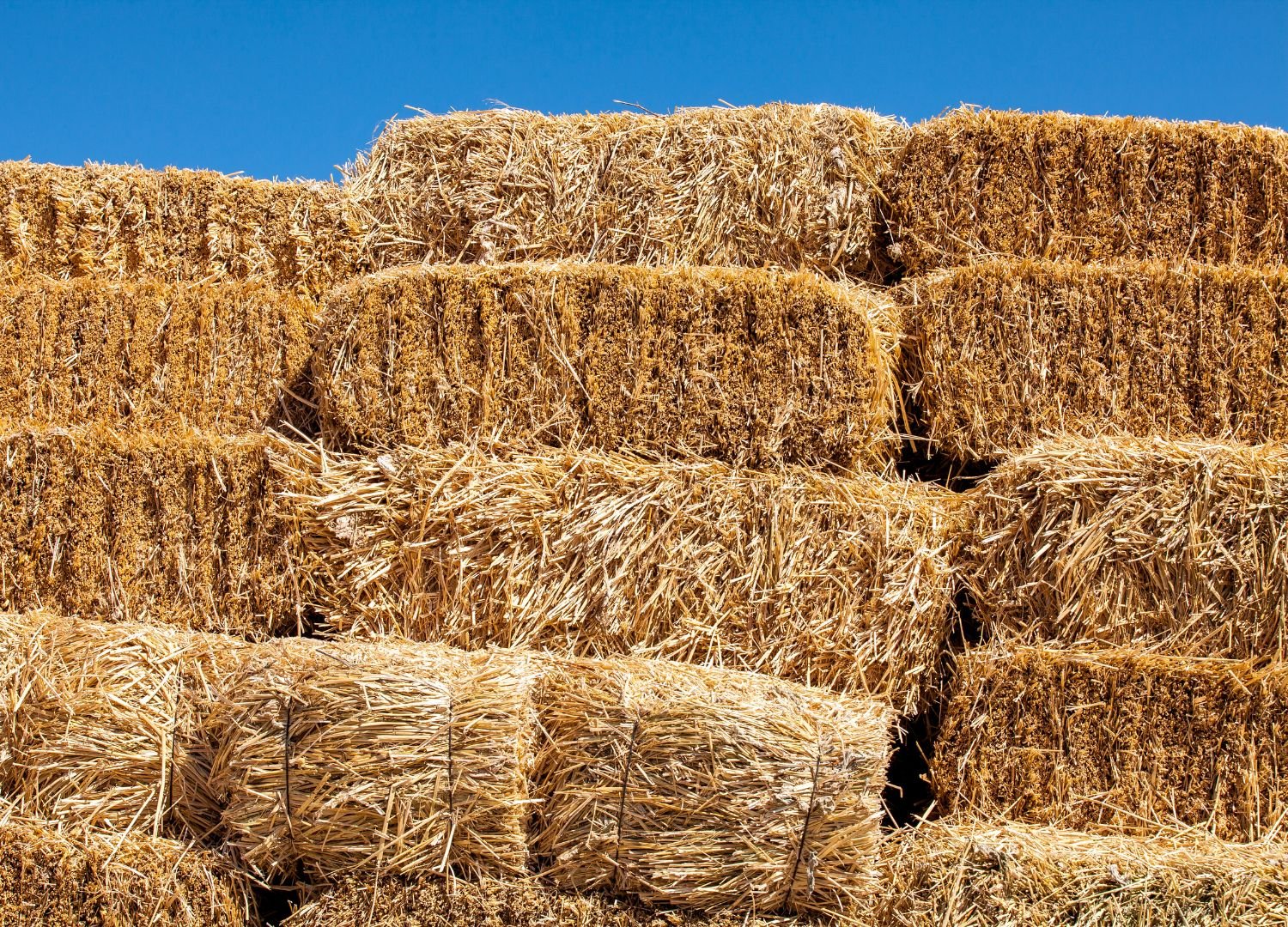 Hay Bale.jpg