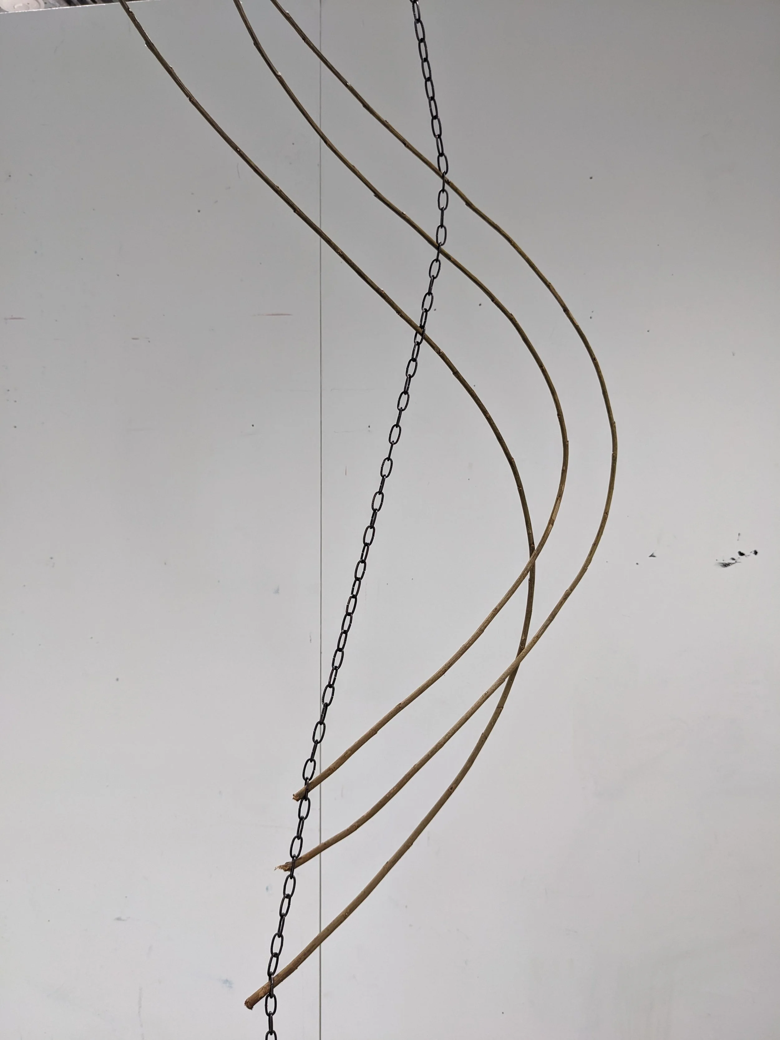 PXL_20240413_135618249.jpg