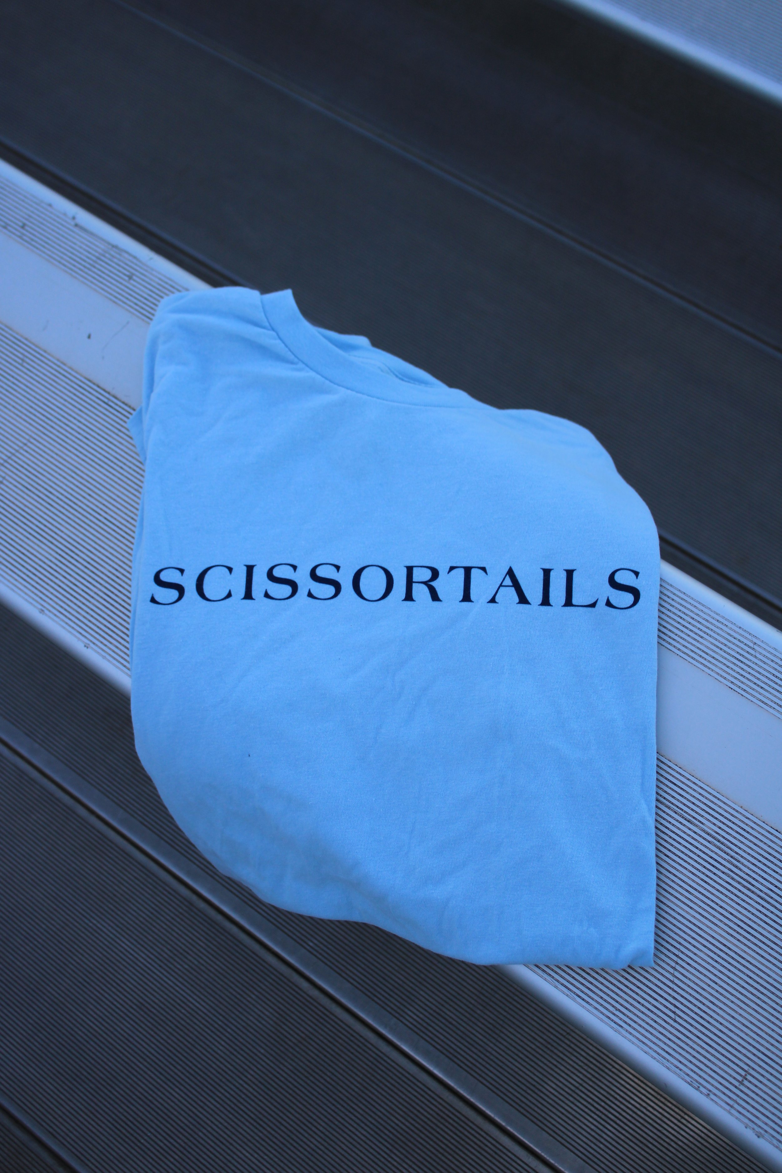 BLUE SCISSORTAIL SKYLINE
