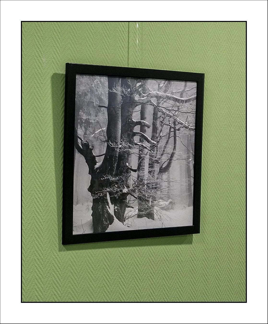 Diese Bilder sprechen leise.