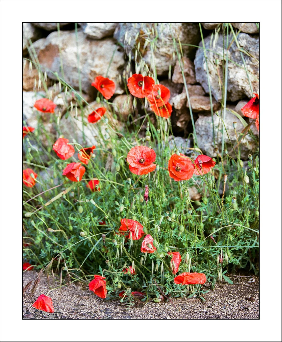 Sardinien