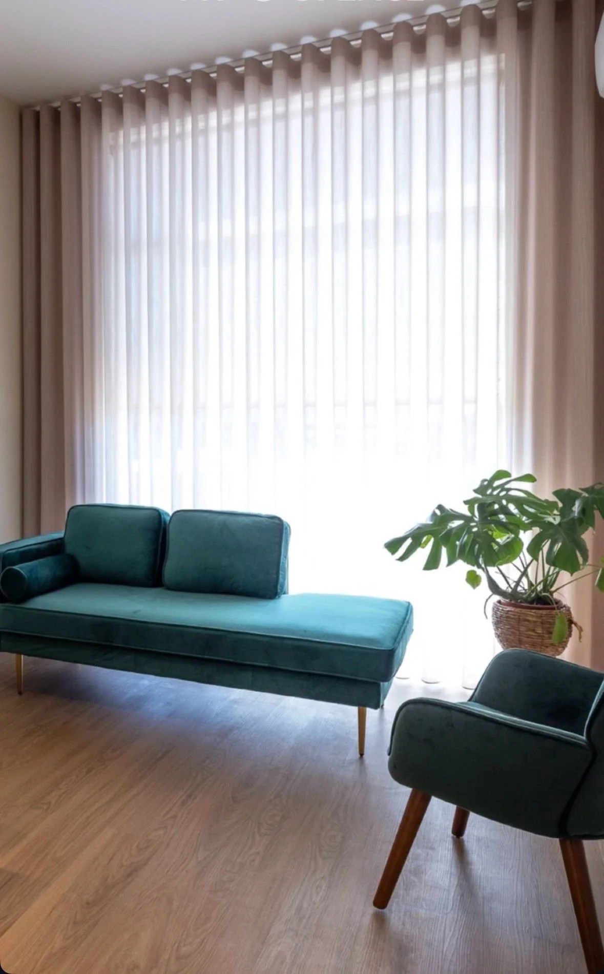 WhatsApp Image 2026-01-27 at 17.46.19.jpeg