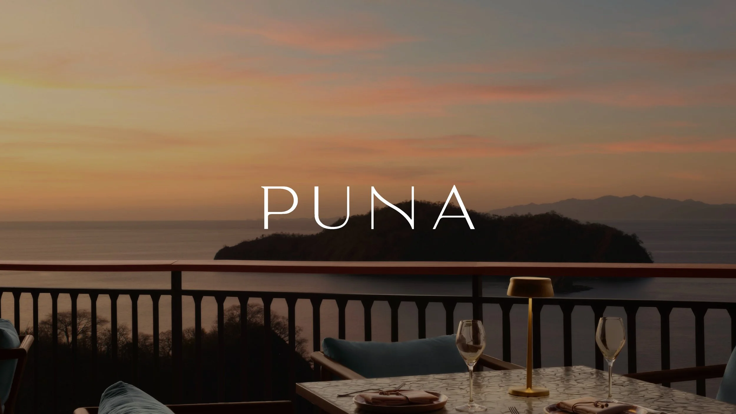 Puna → Branding & Identity