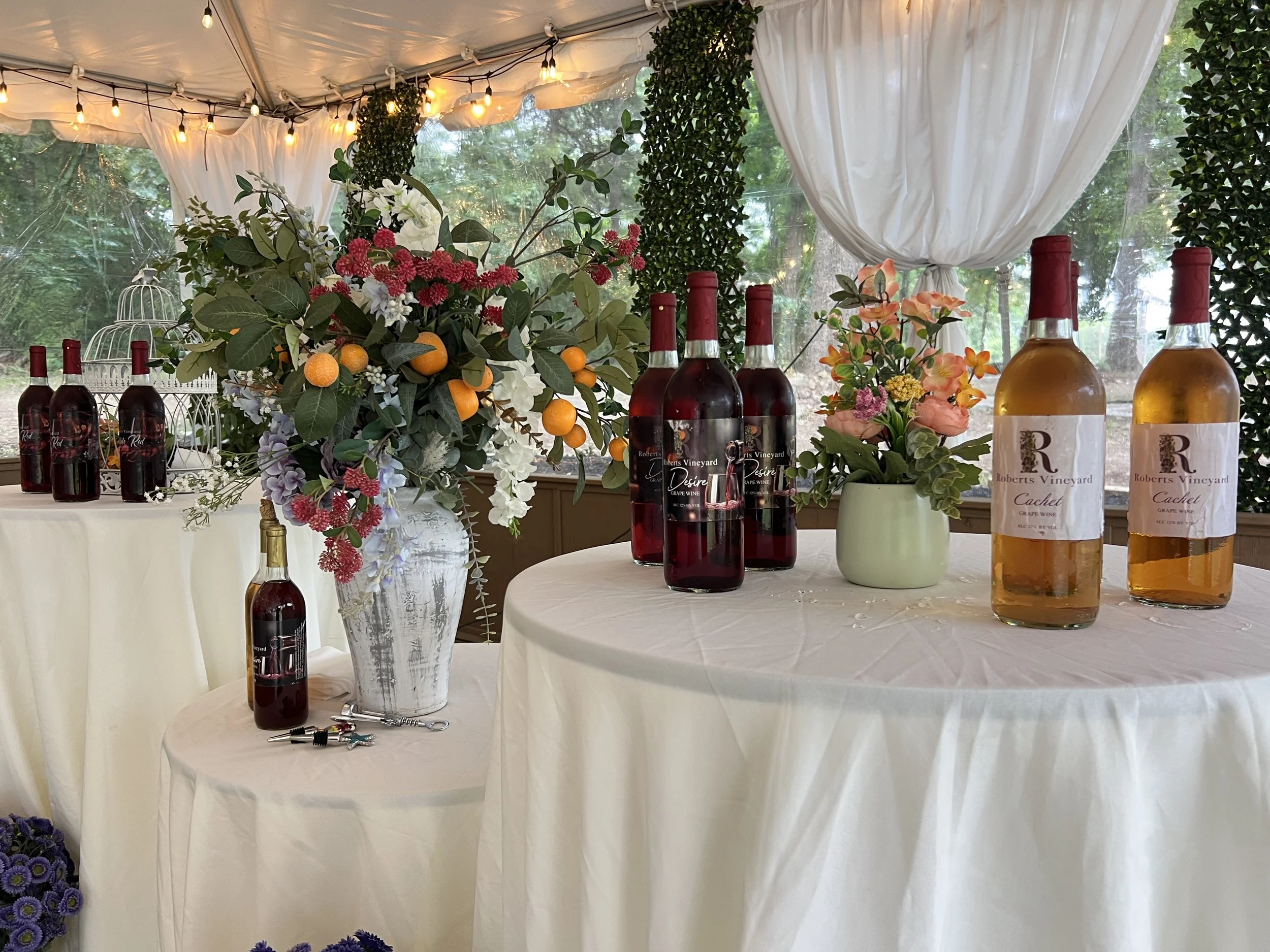 Memorial Weekend Wine Tasting at the Vineyard (Sat, May 23)