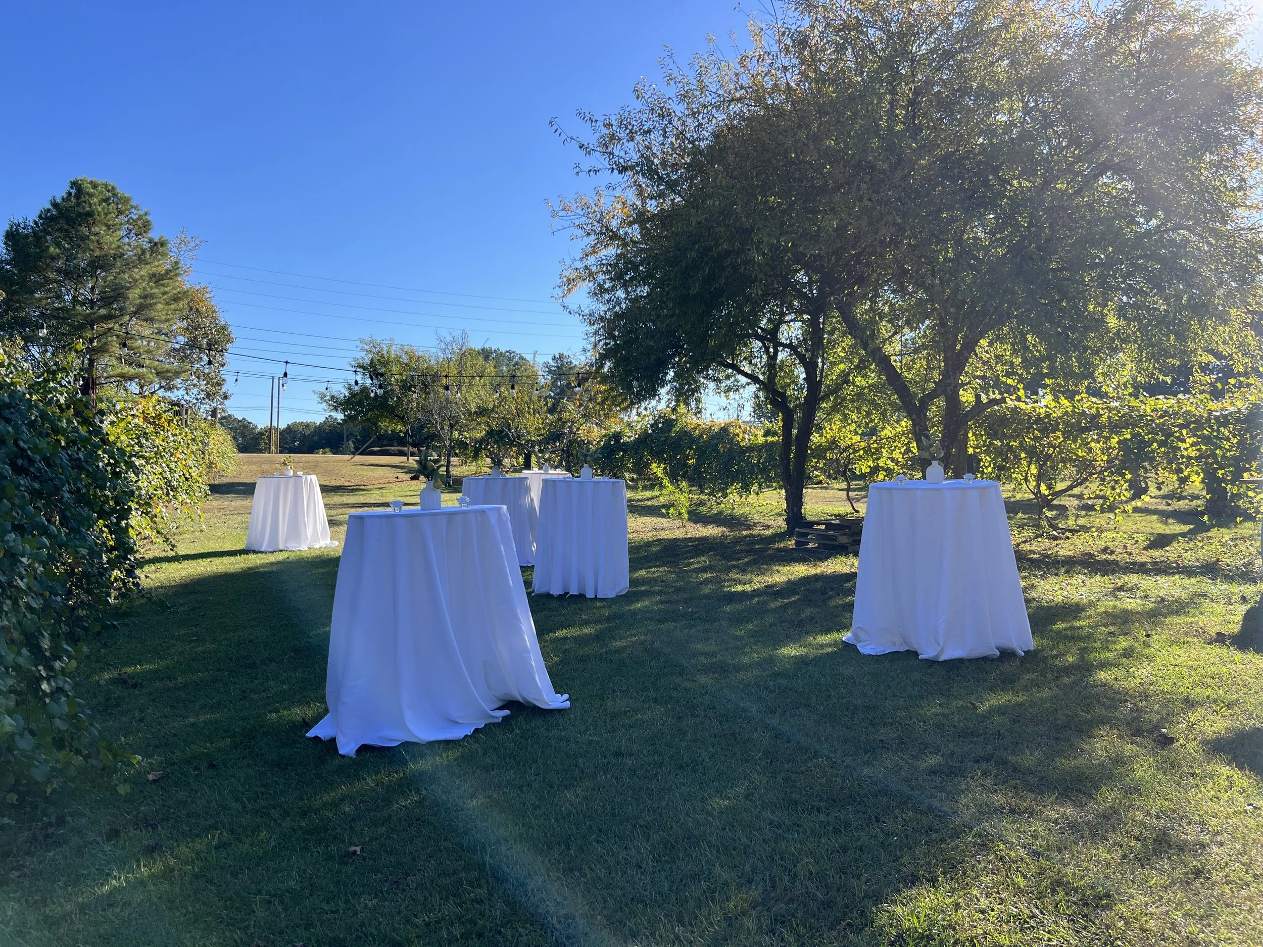 Outdoor event setup in a grassy area with five tall tables draped with white cloths, surrounded by trees and a clear blue sky, sunlight shining through the leaves.