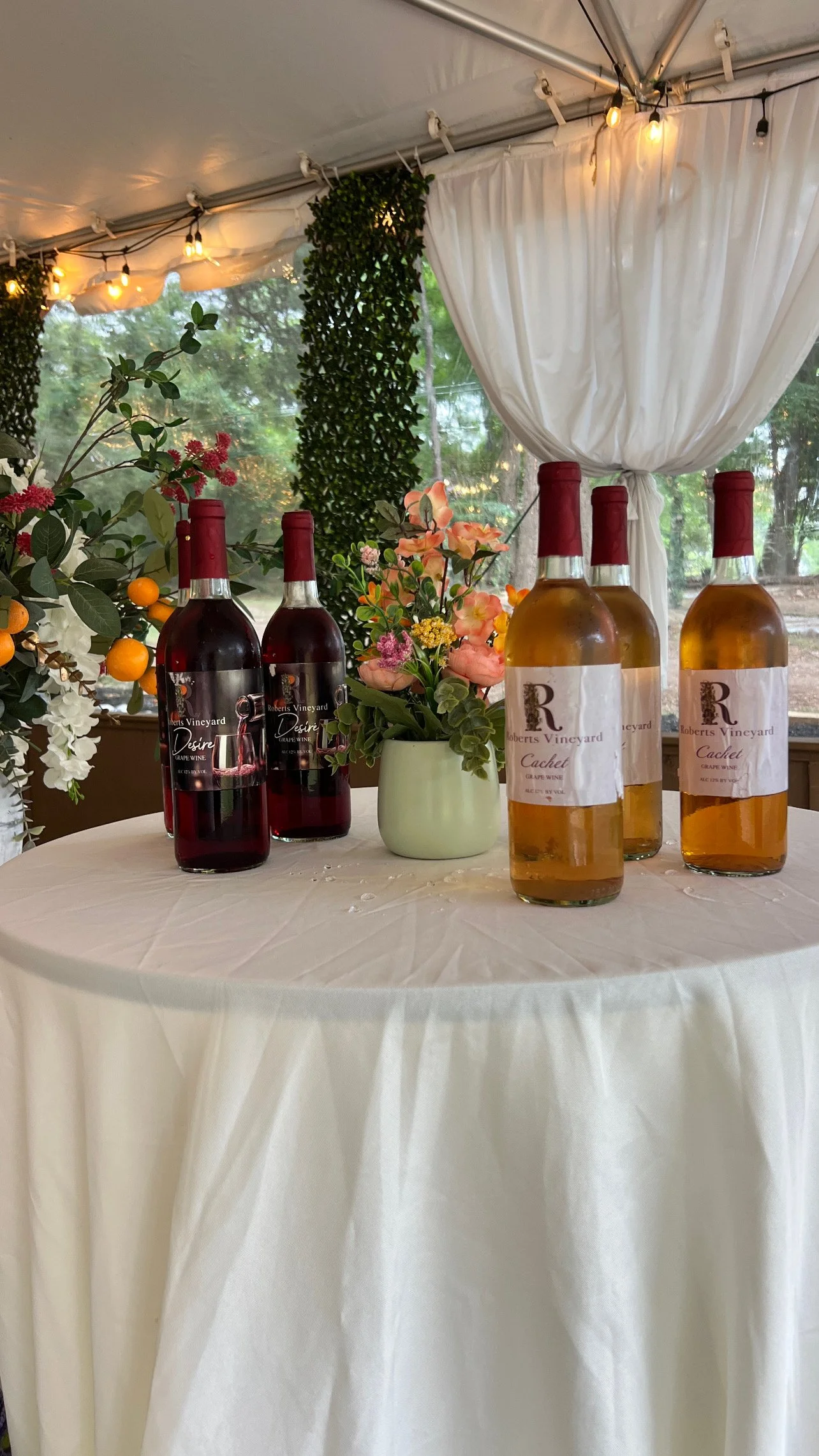 Friday Night Guided Wine Tasting (Friday, July 10)