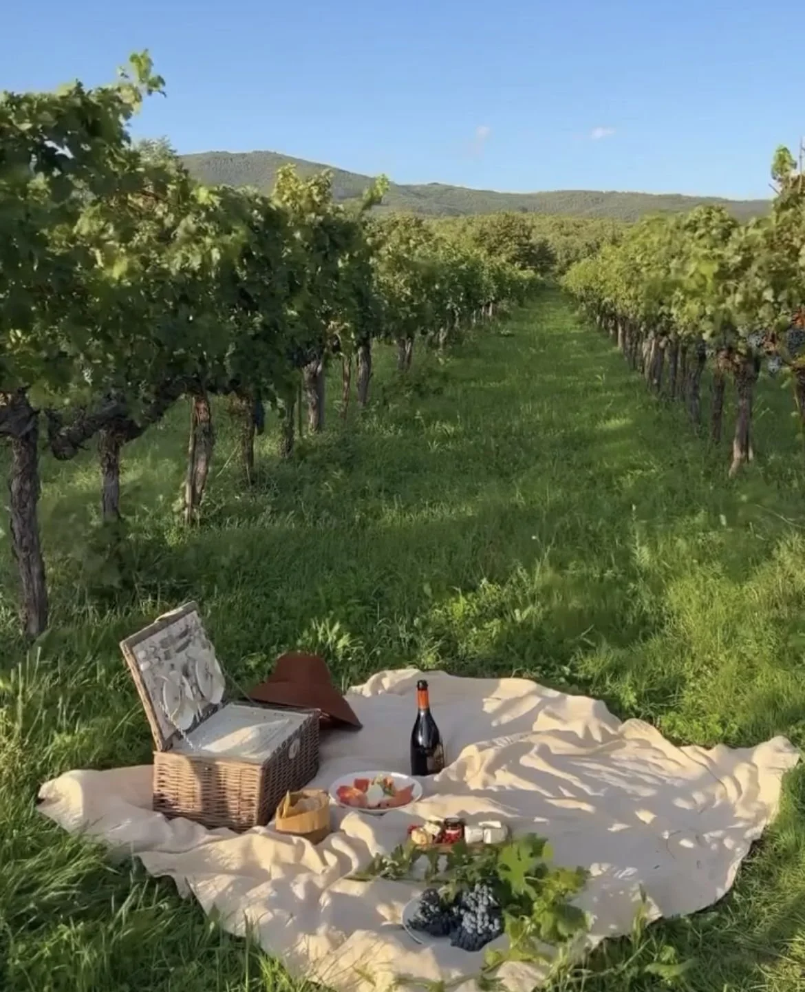A picnic setup on a blanket in a vineyard with rows of grapevines, a bottle of wine, fruits, and snacks.