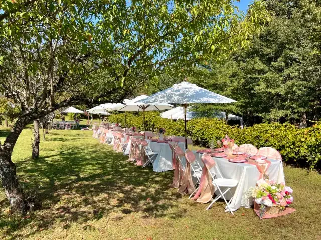 Outdoor event setup with a long table covered in a white tablecloth, decorated with pink ribbons and flowers, under white umbrellas on a grassy area with trees and bushes.