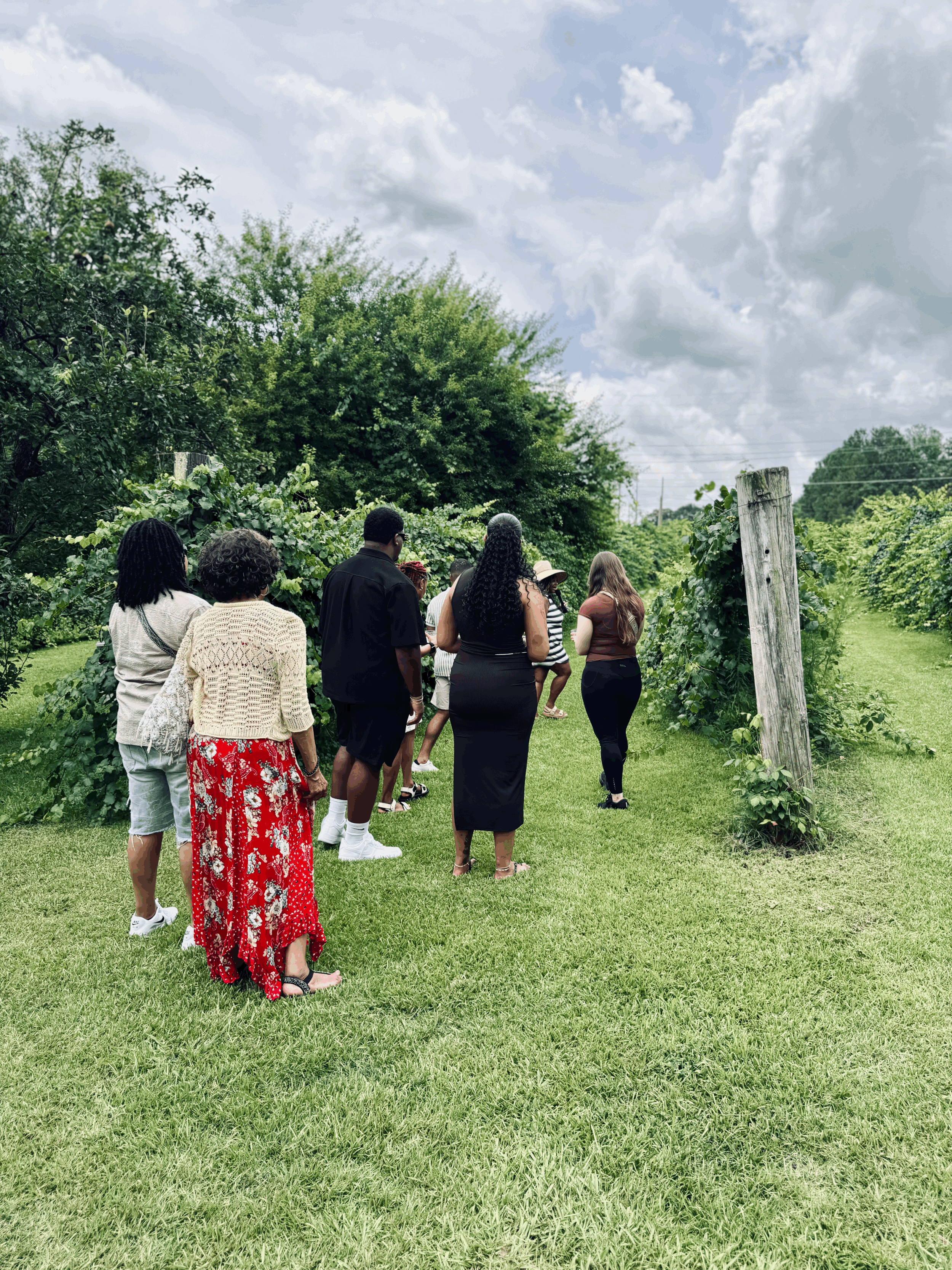 Norwood Roots: A Vineyard Walk with Wine