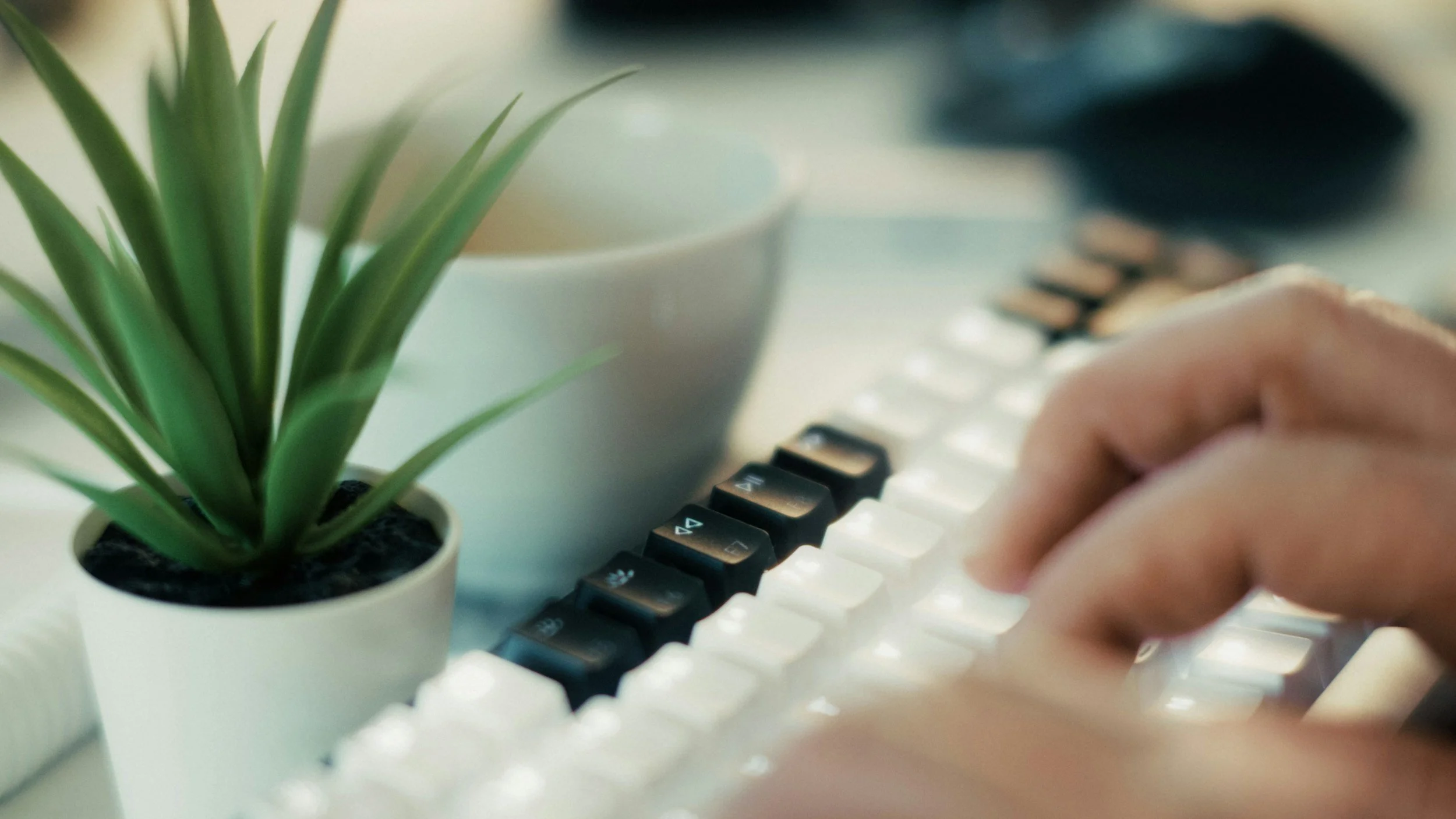 Close-up of a person's hand typing on a keyboard with black and white keys, next to a small potted green plant and a white cup, with some blurred background objects.
