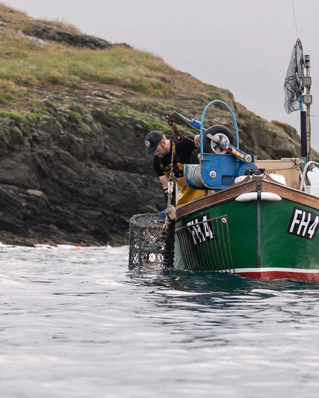We&rsquo;re seeing a lot of octopus in our catch at the moment. There has been a huge bloom in octopus along the south west coast. You may have heard about it on the local news. 

It&rsquo;s not ideal for us because the octopus eat shellfish. They us