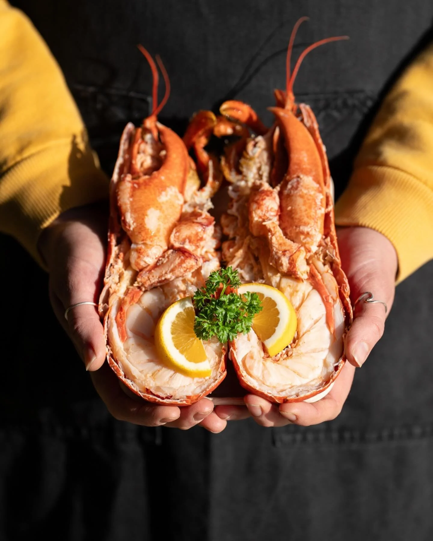 Place your orders please!

If you would like some beautiful fresh Cornish lobster or crab over the festive period, please let us know now so we can make sure we have enough in stock. 

Orders can be collected any day up til Christmas Eve at 1pm, and 