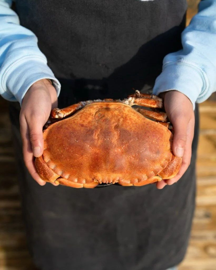 Thinking ahead to your New Year&rsquo;s Eve celebrations? We&rsquo;ve got lots of these amazing fresh crab and lobster coming in - available whole cooked, or already picked and dressed. 

Please place your orders now to guarantee availability. They w