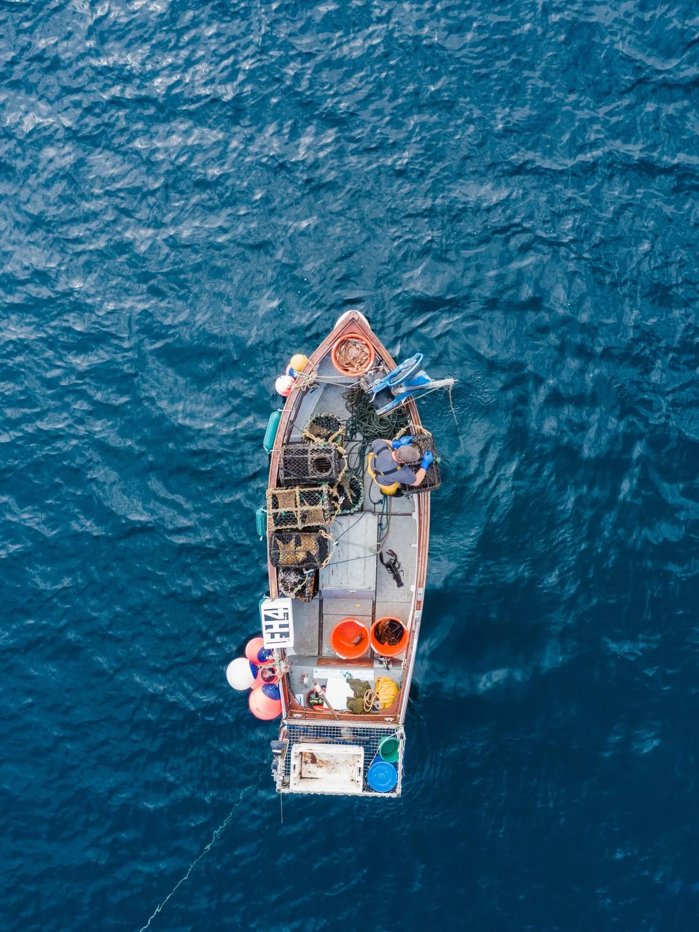 Pendower Farm Shop is due to open its doors again for the 2026 season on the 23rd March. 

We are open Monday to Saturday 10am-6pm and closed on Sundays. 
 
The shop will be full to the brim with fresh locally caught fish and shellfish along with @da