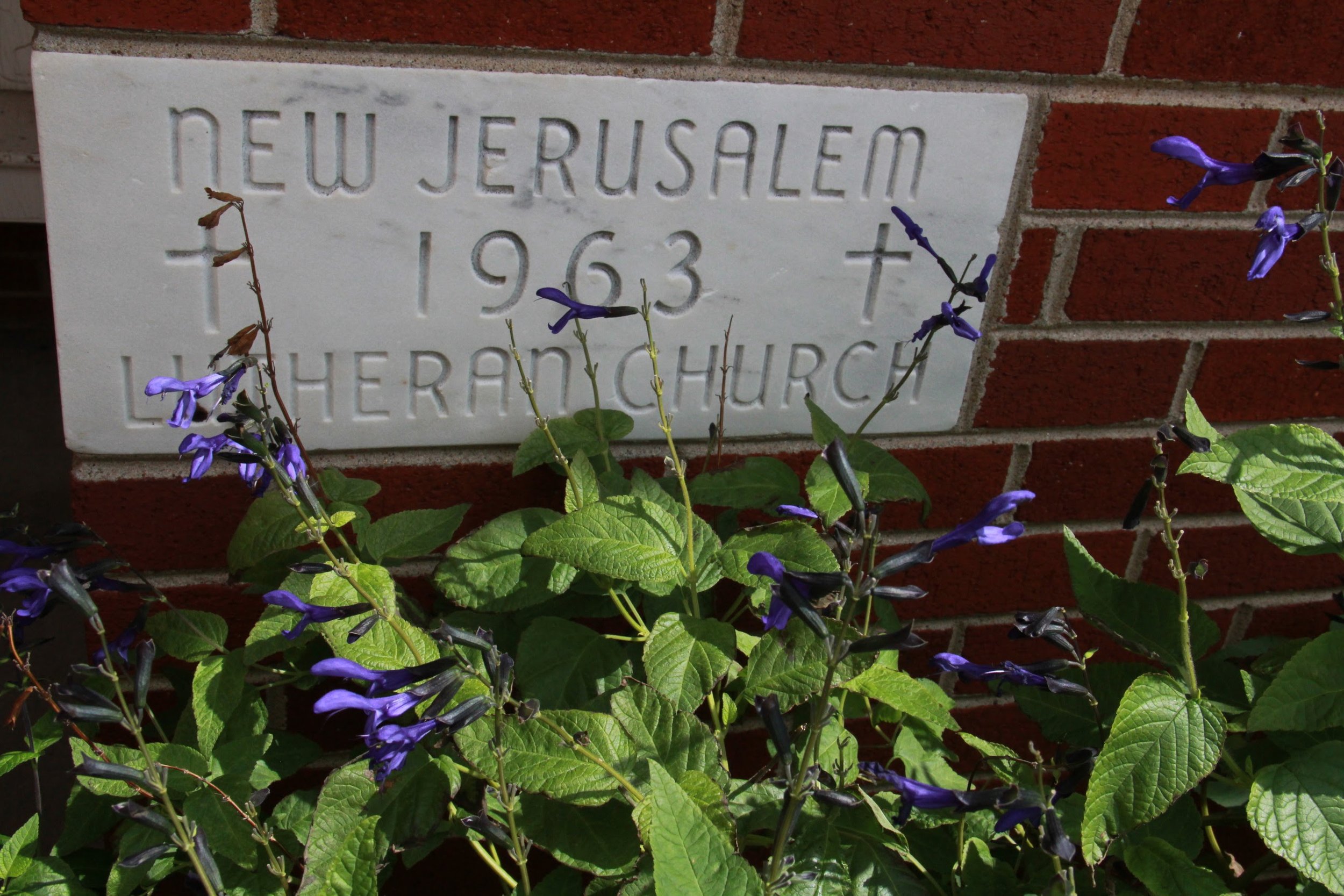 Easter Service with Pastor Joel Guttormson at New Jerusalem Lutheran Church. Lovettsville, Virginia.