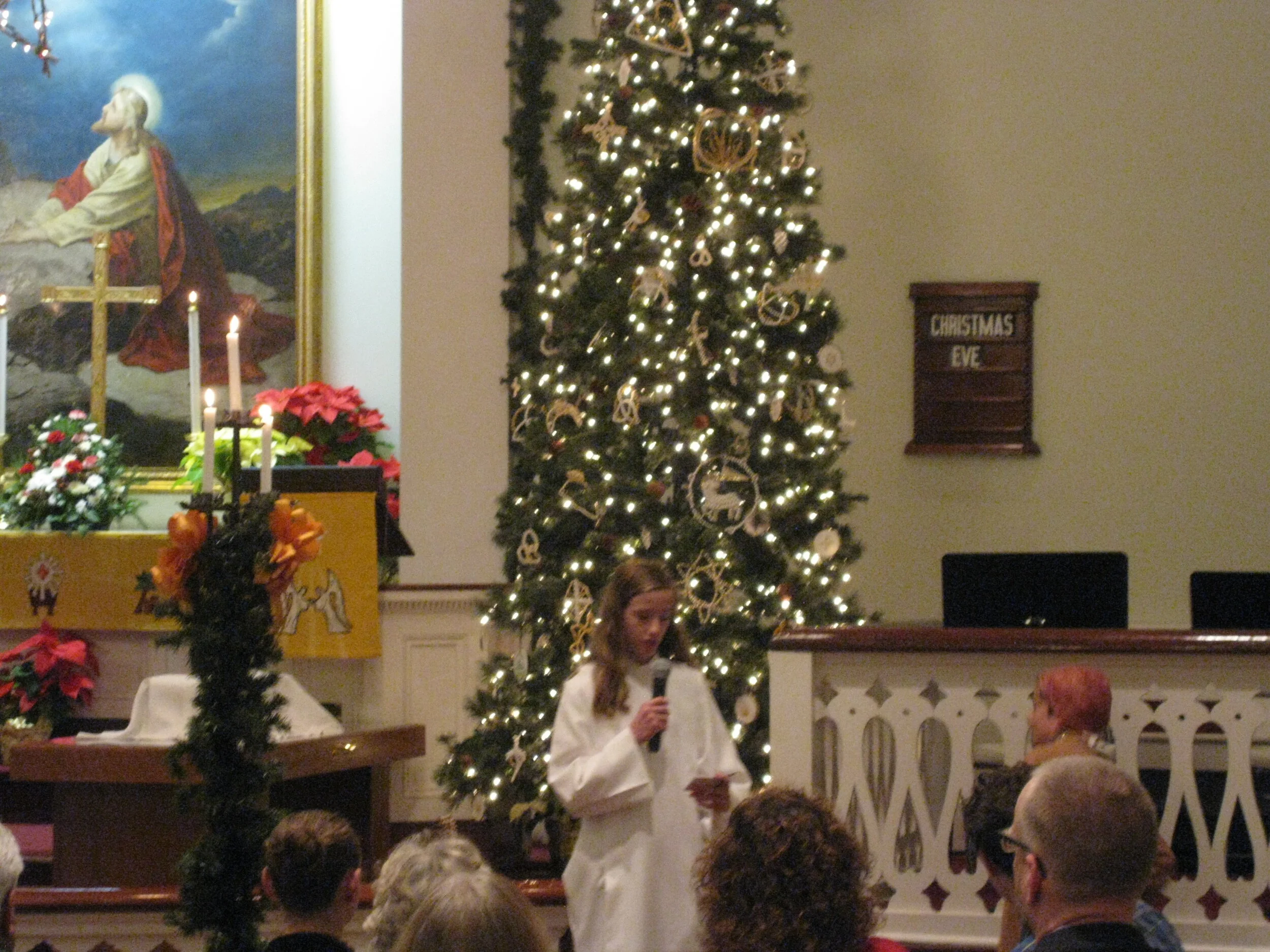 Christmas 2018 024.JPG