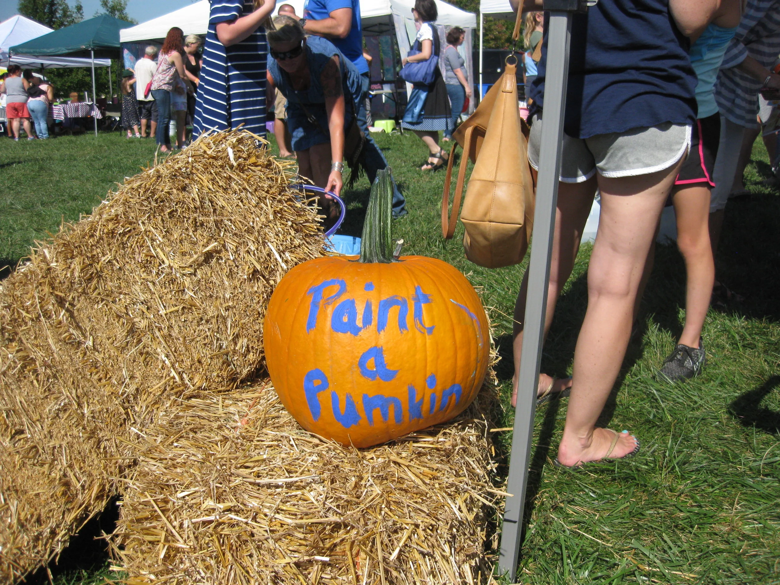 Apple Picking 2017 015.JPG