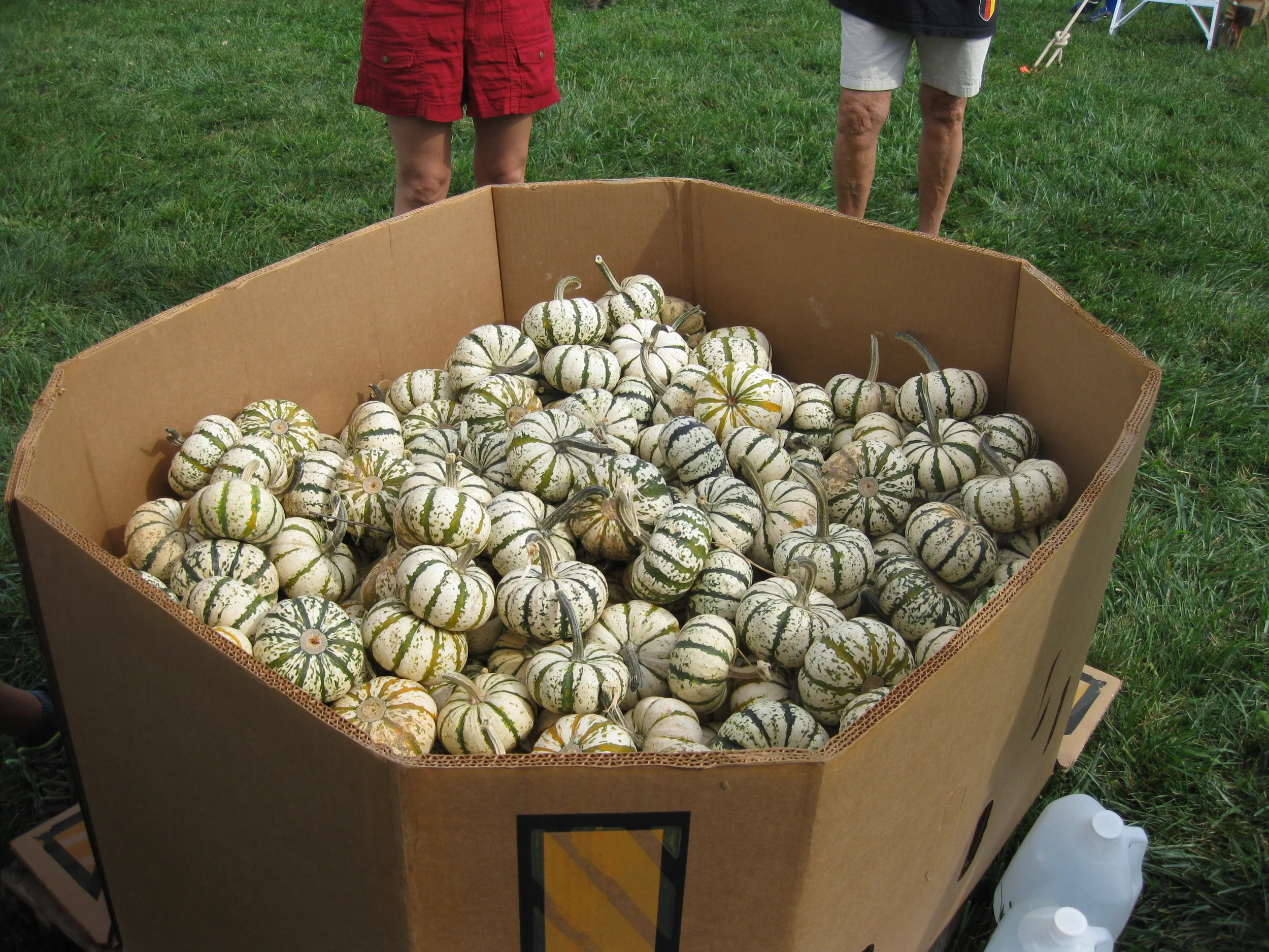 Apple Picking 2017 003.JPG