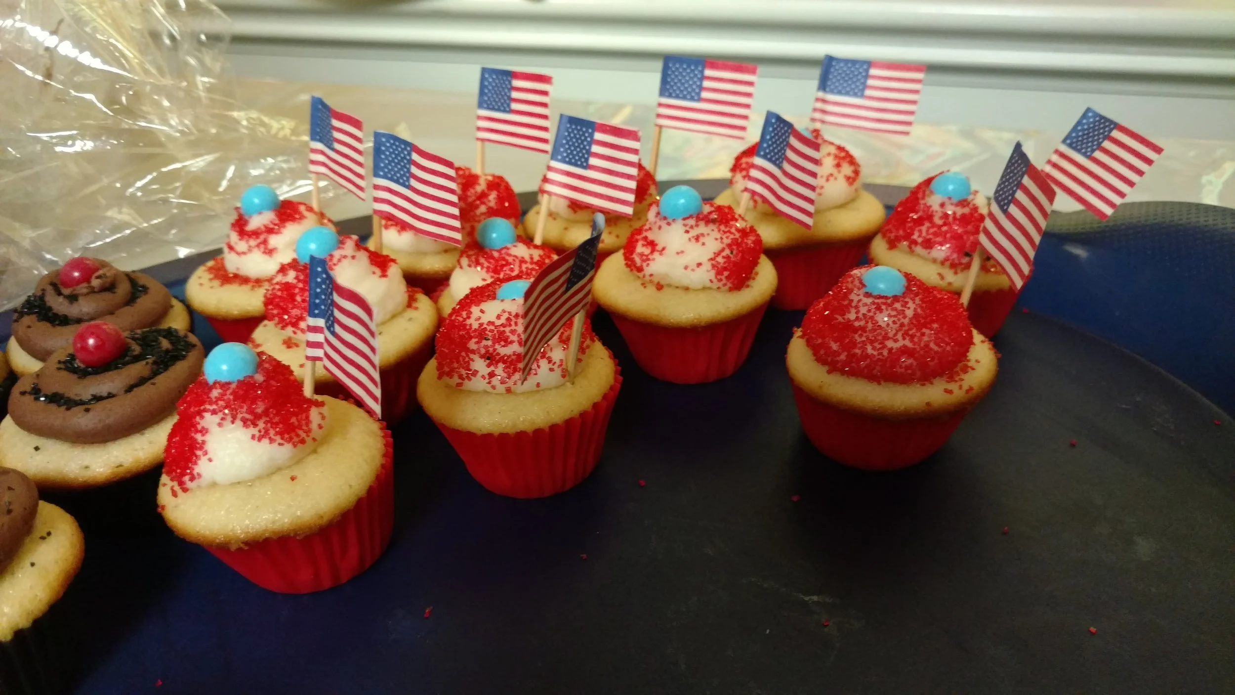 IMG_20170205_115704647 - Copy.jpg