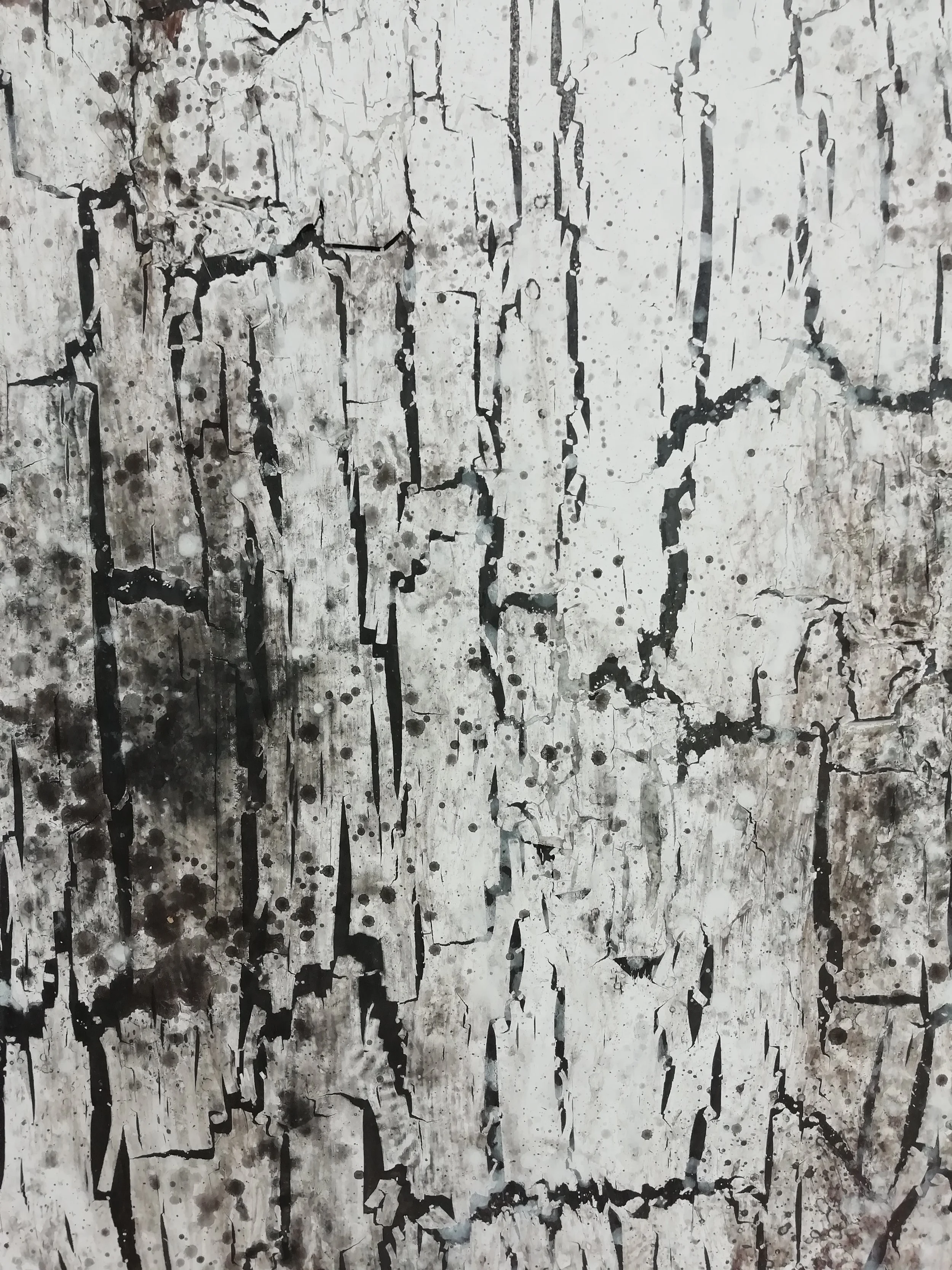 IMG_20190611_143142.jpg