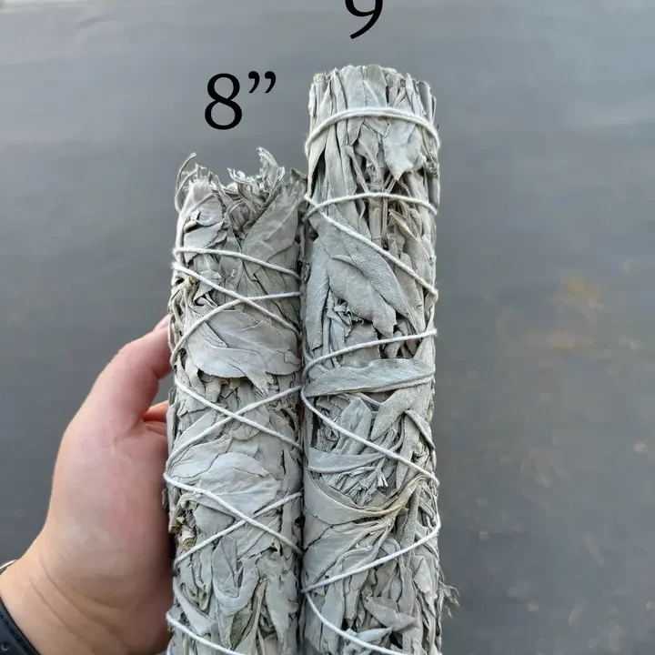 California White Sage Herb Wand/Smudge 9"