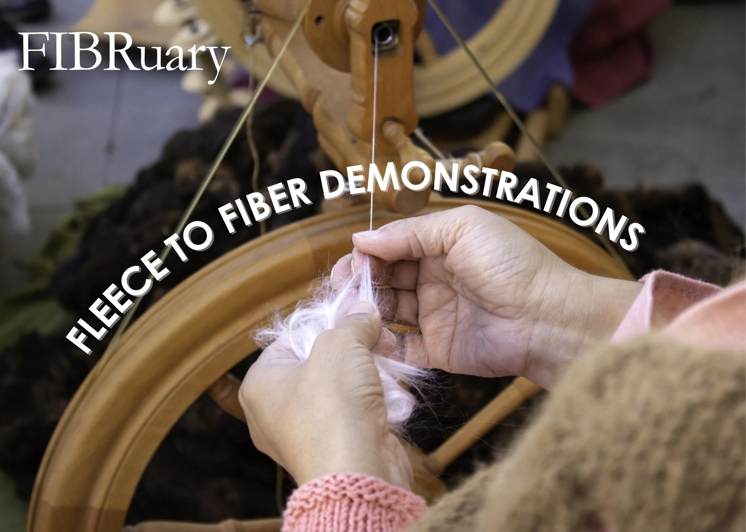 A person is spinning raw wool fleece on a spinning wheel