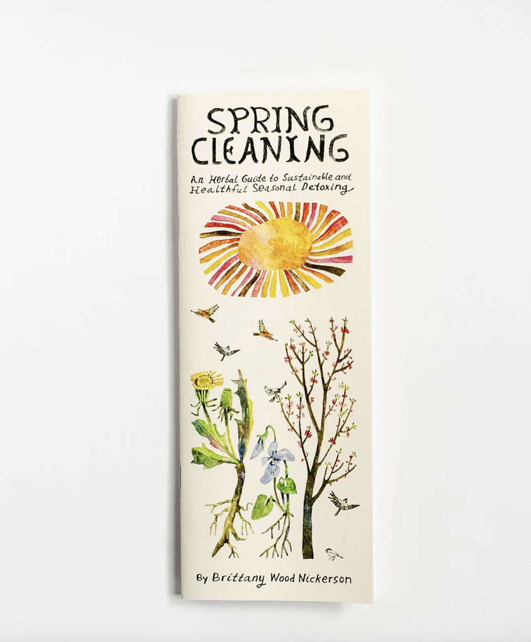 Spring Cleaning Book