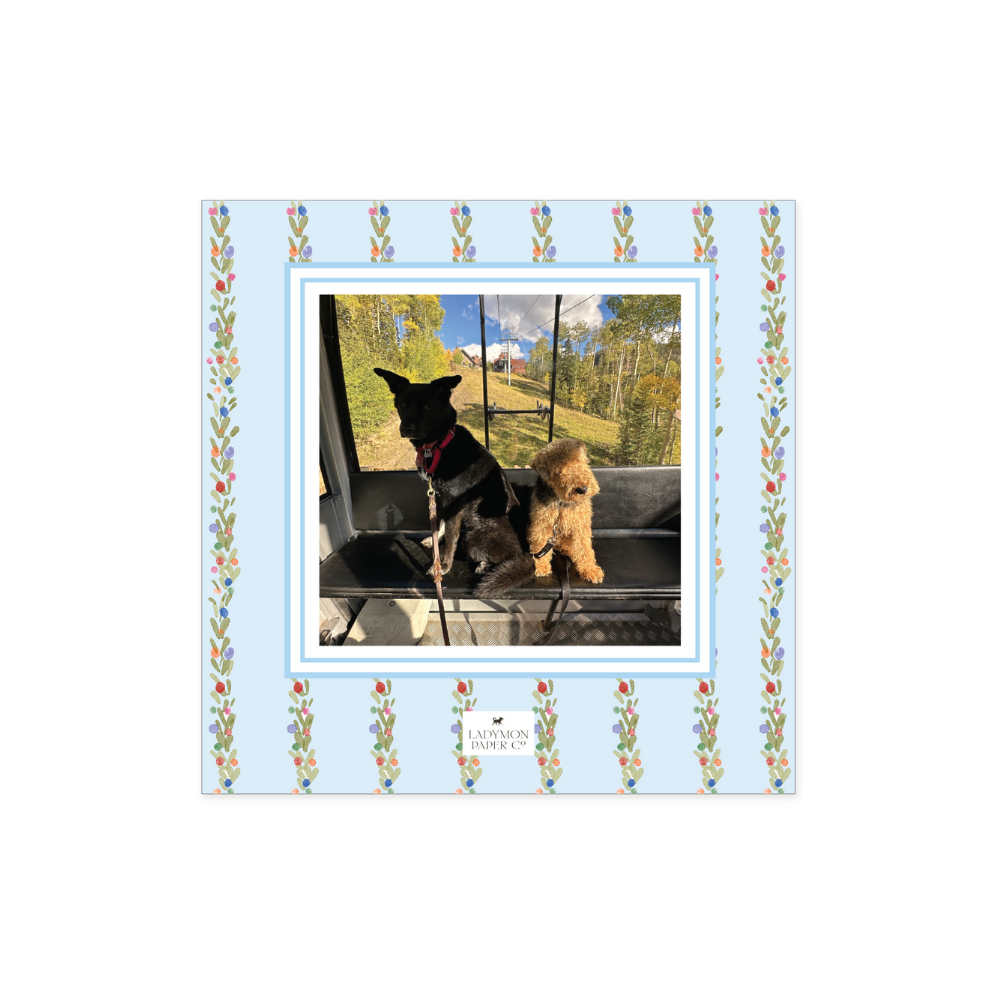 Photo Garland Front Only.png