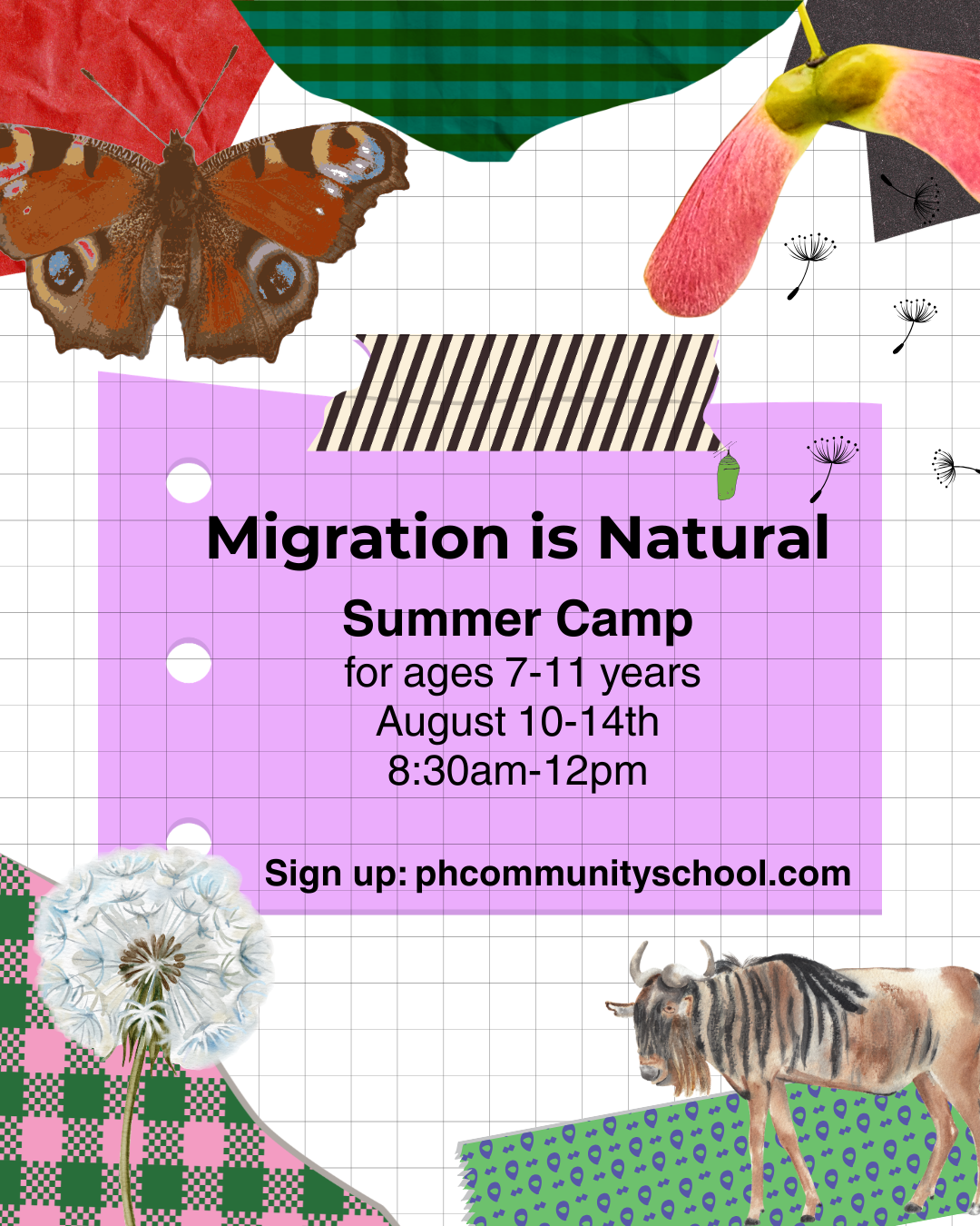 Summer Art & Nature Camp