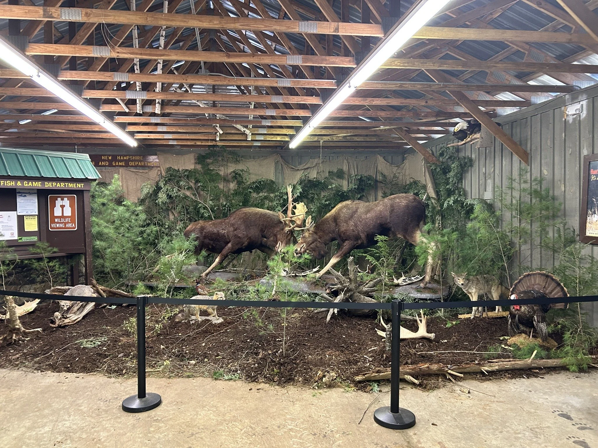 Springfield Old Home Days