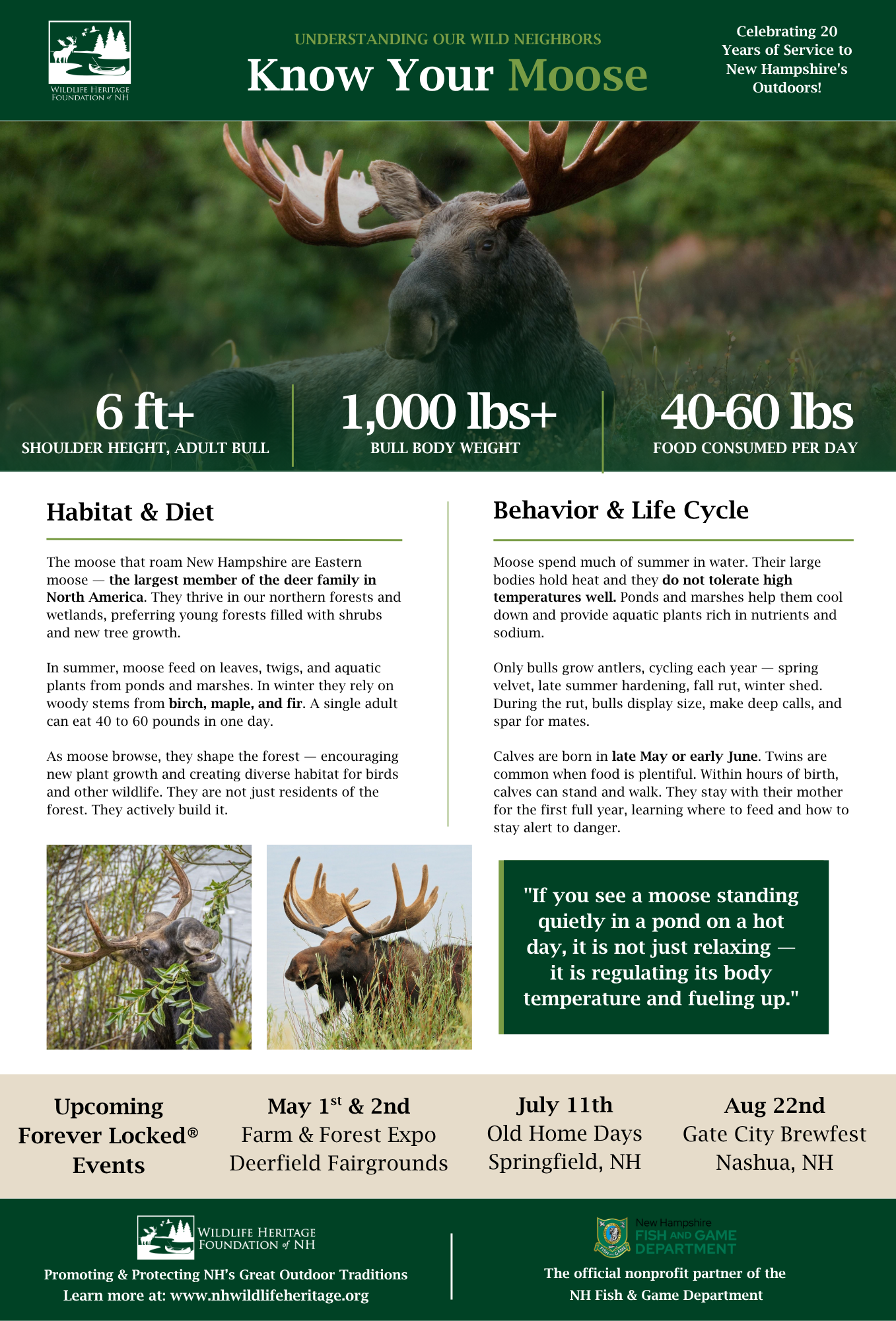 Moose Facts Hawkeye.png