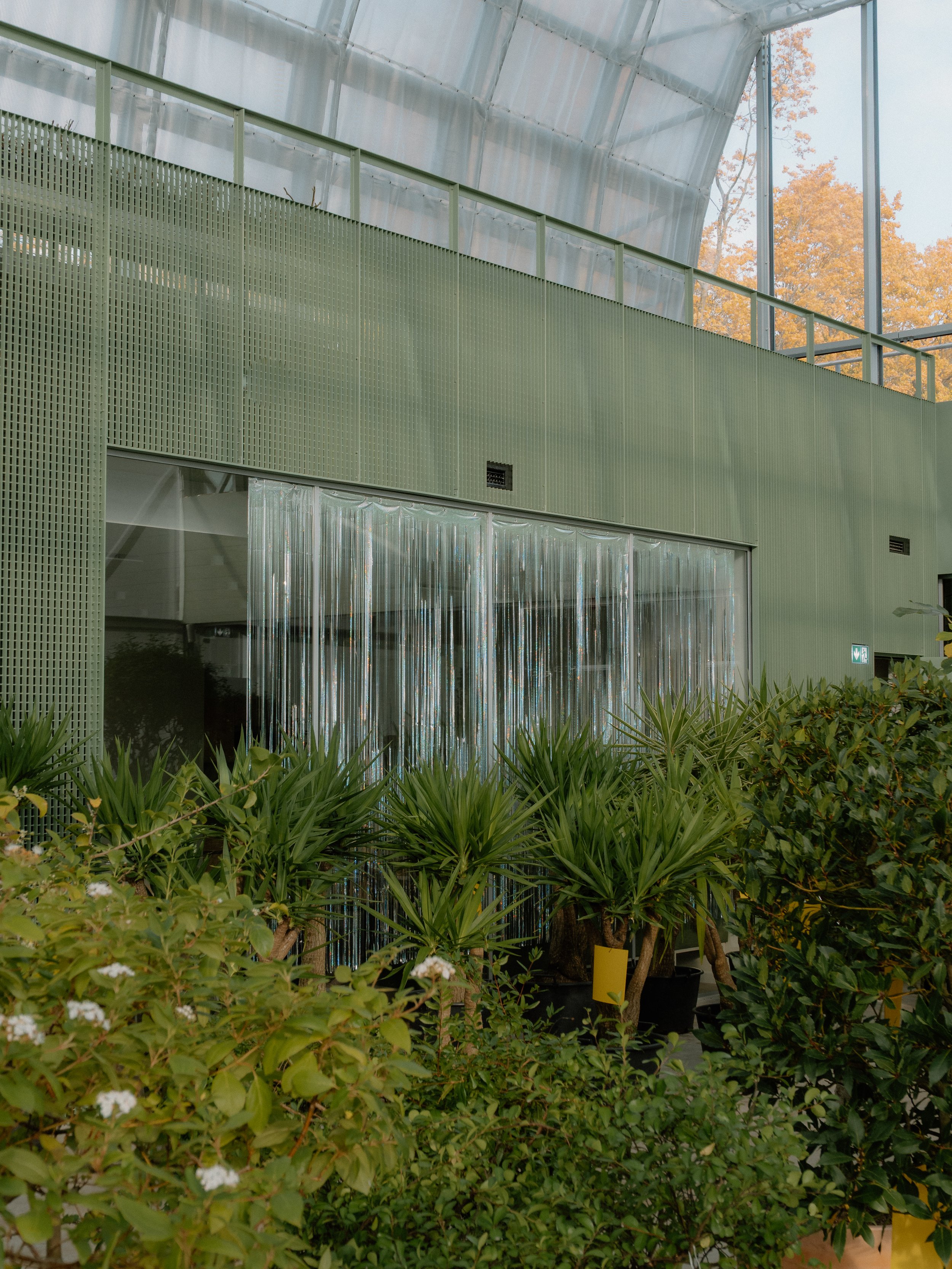 Kadrioru Orangerie