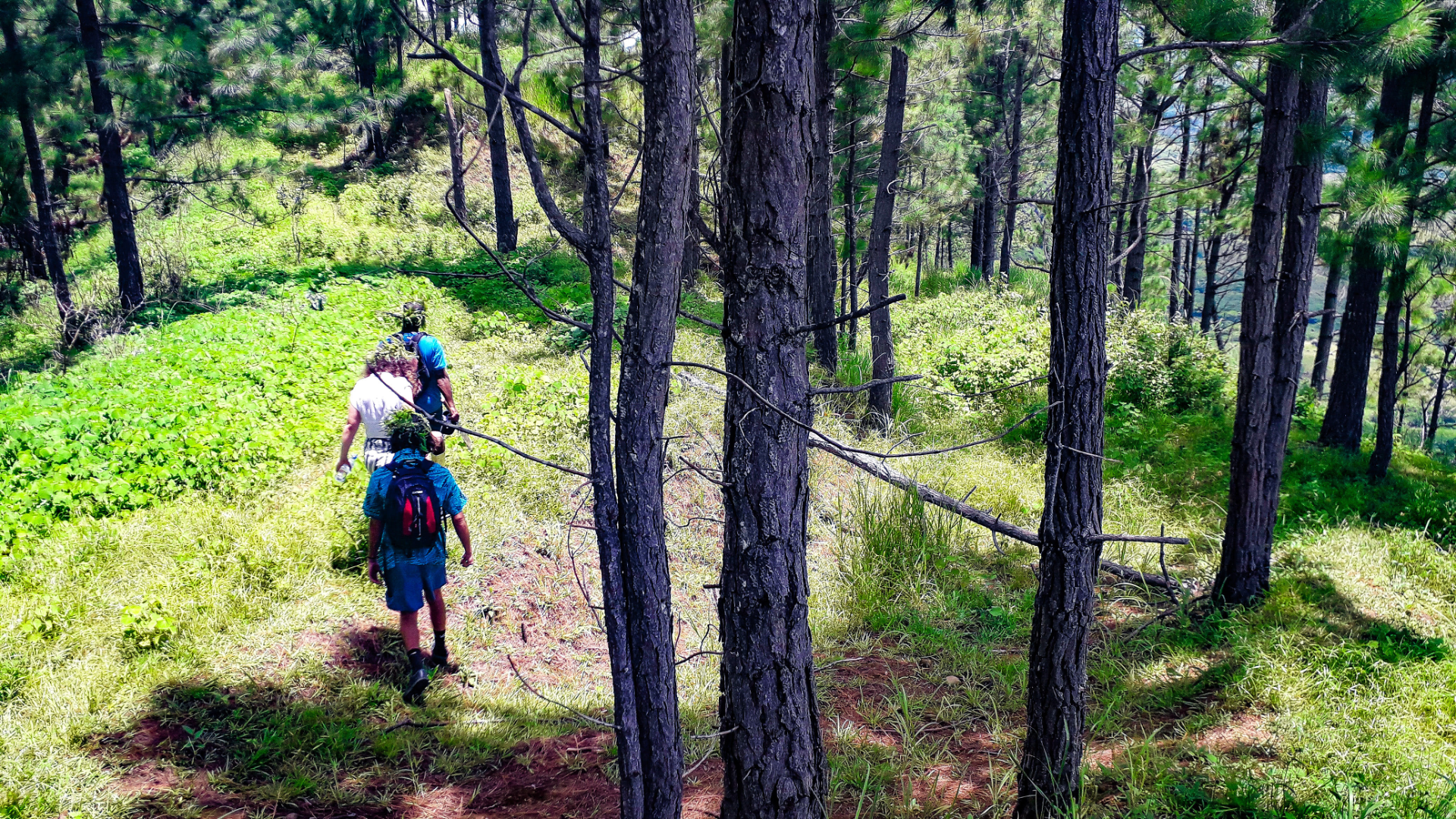 hike 05.png