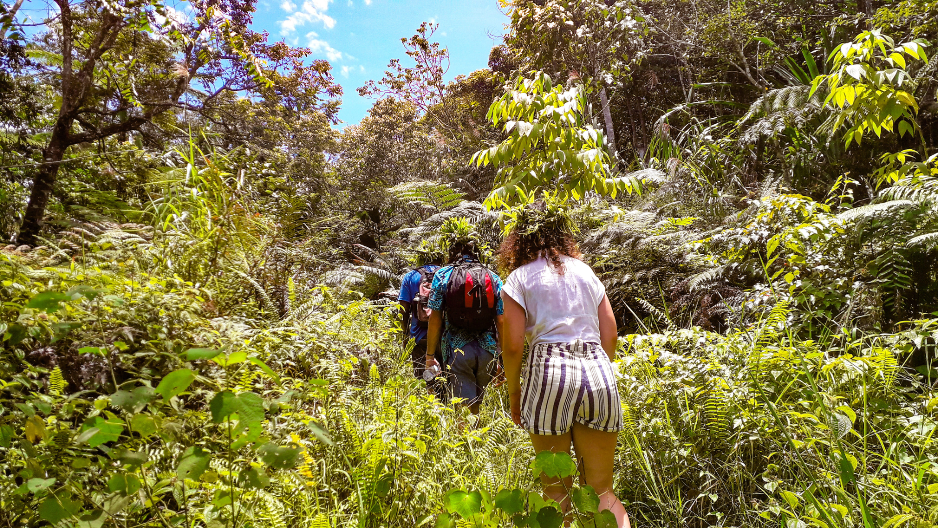 hike 02.png