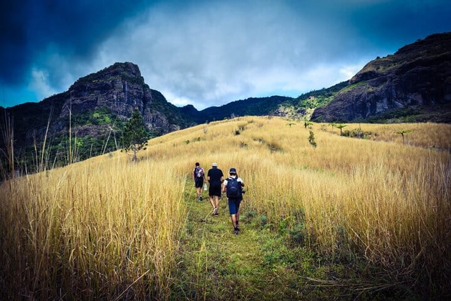 hike 1 pic 1.png