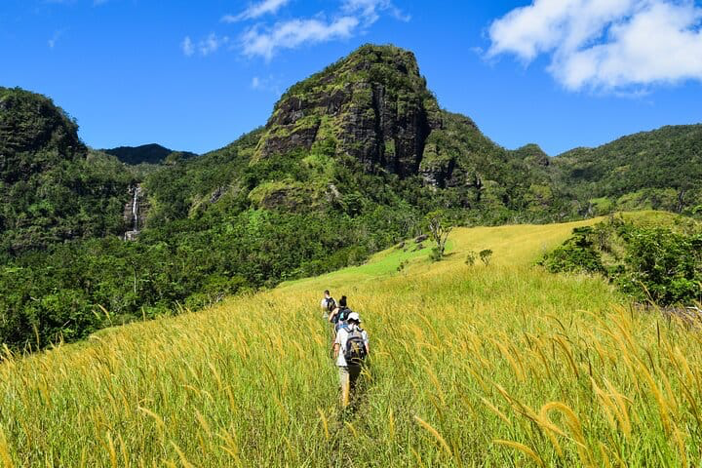 hike 1 cover.png