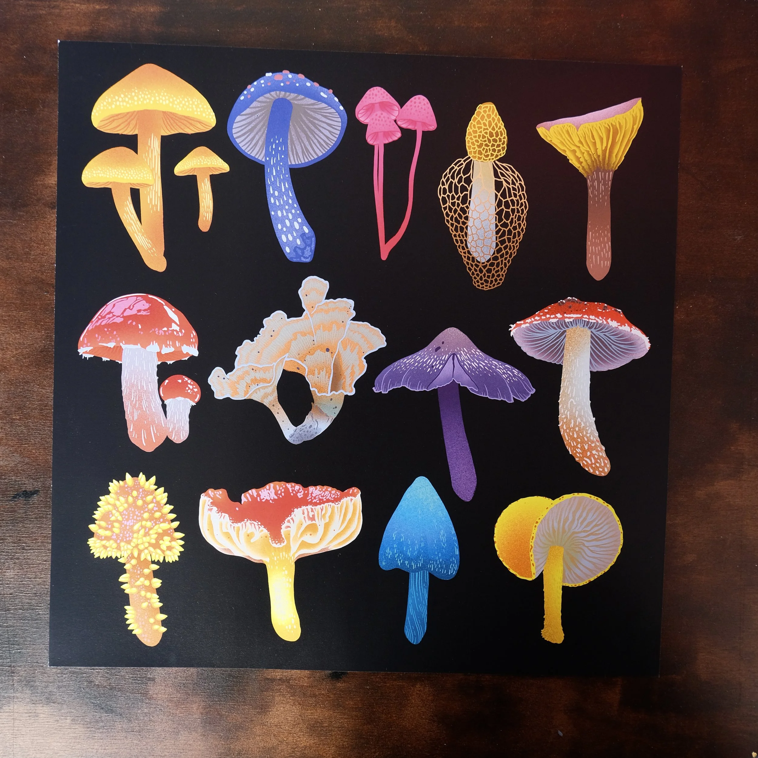 Magic Mushrooms
