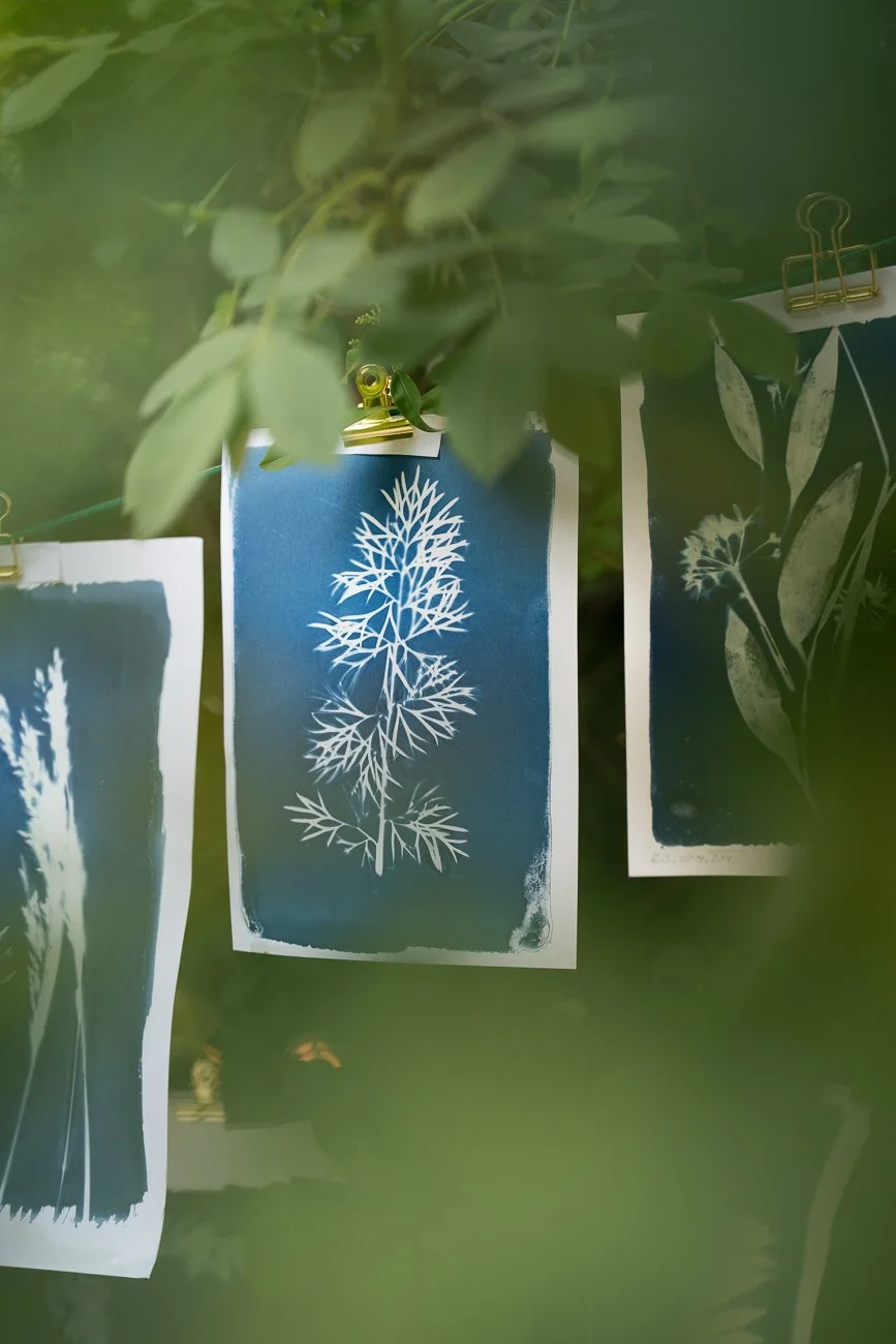 LillyMörz_cyanotype_02.jpg