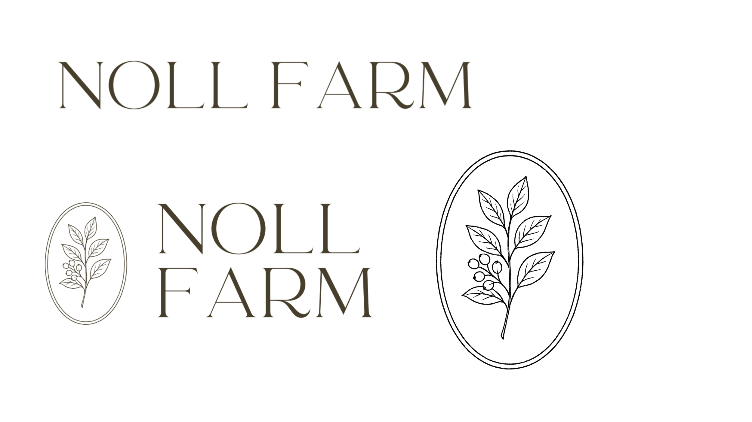 Lighthouse Creative.png