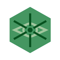 Inspection Icon