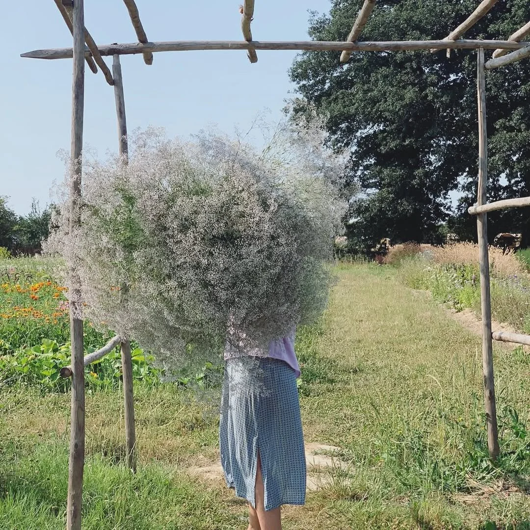 Le champ libre, des fleurs bichonnées