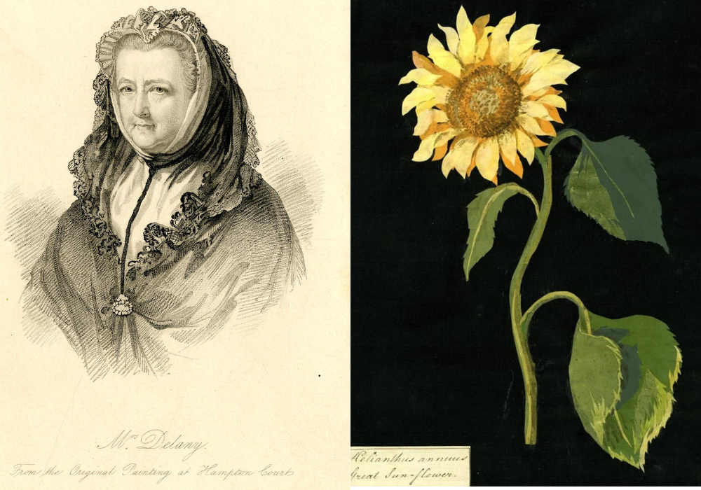 Collages papier fleurs