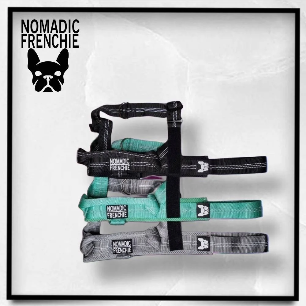 Nomadic Frenchie Atlas Harness - Tear Resistant Dog Harness