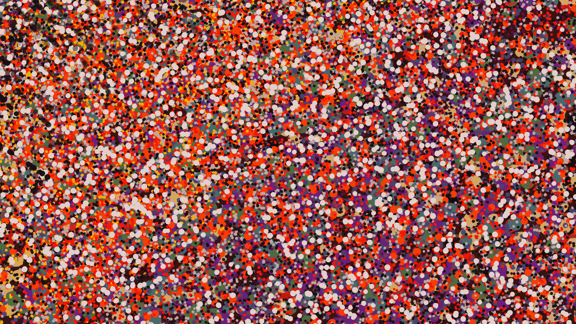 Untitled_Artwork 21.gif