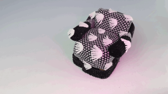My_Stop_Motion_Movie(2).gif